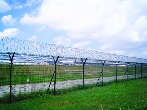 �C���o�ھW(w��ng)