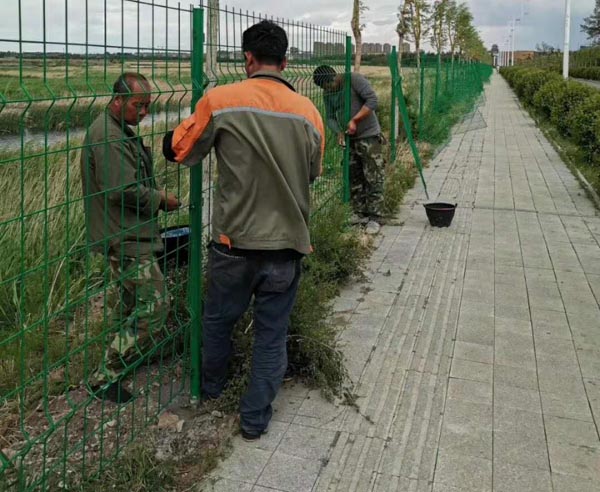 雙邊絲護(hù)欄網(wǎng)價格 雙邊絲護(hù)欄網(wǎng)價格