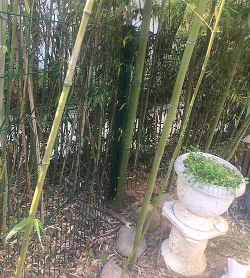 南京護欄網(wǎng) 南京護欄網(wǎng)